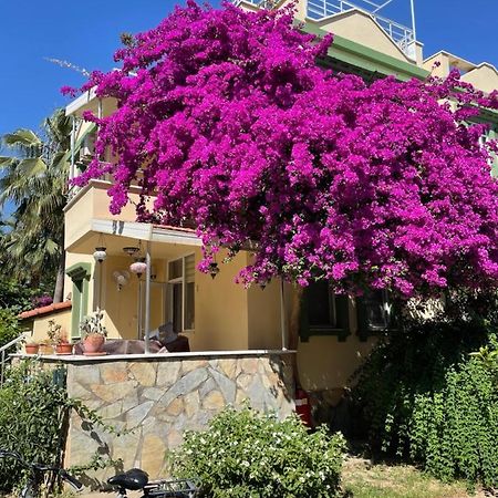 Villa Konak Club 알란야 외부 사진