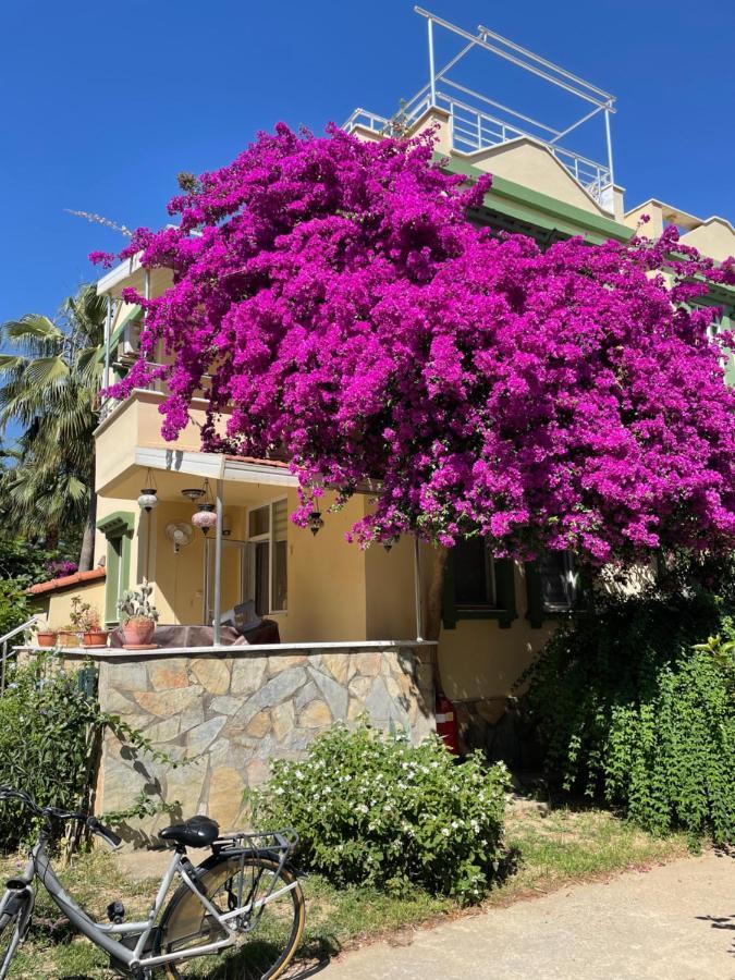 Villa Konak Club 알란야 외부 사진